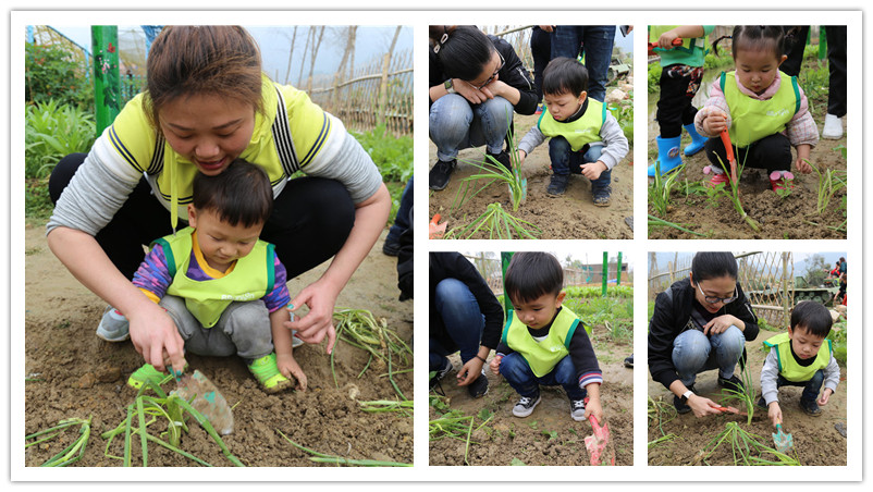 BBunion国际早教厦门世贸中心：植树节户外体验